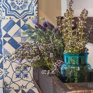 New - In Centro Storico Apartment